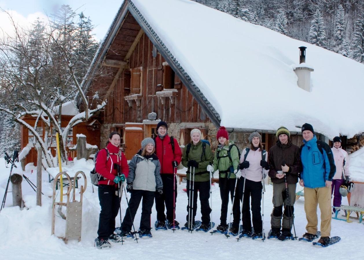 Chalet 49 Nesselgraben - Ferienwohnungen Aus Holz Koppl Eksteriør billede