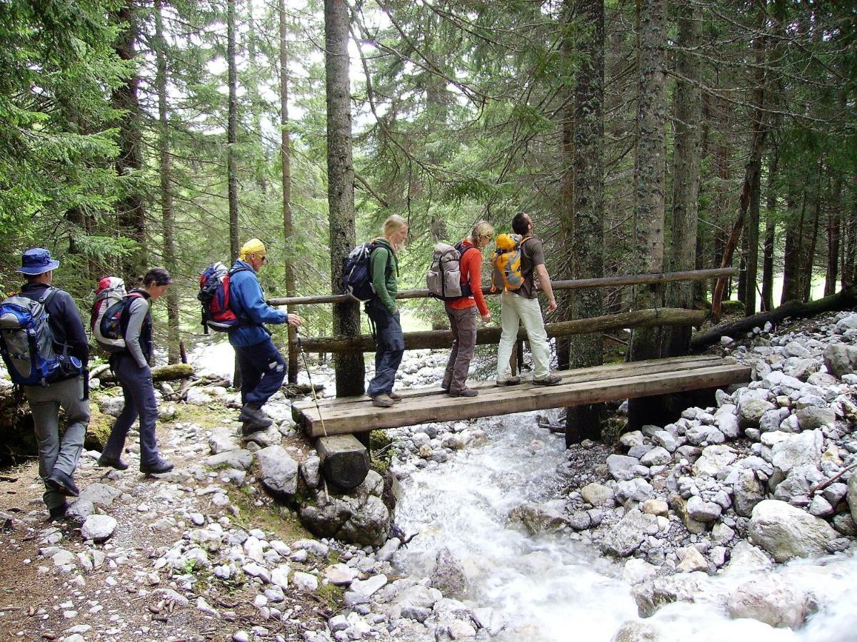 Chalet 49 Nesselgraben - Ferienwohnungen Aus Holz Koppl Eksteriør billede