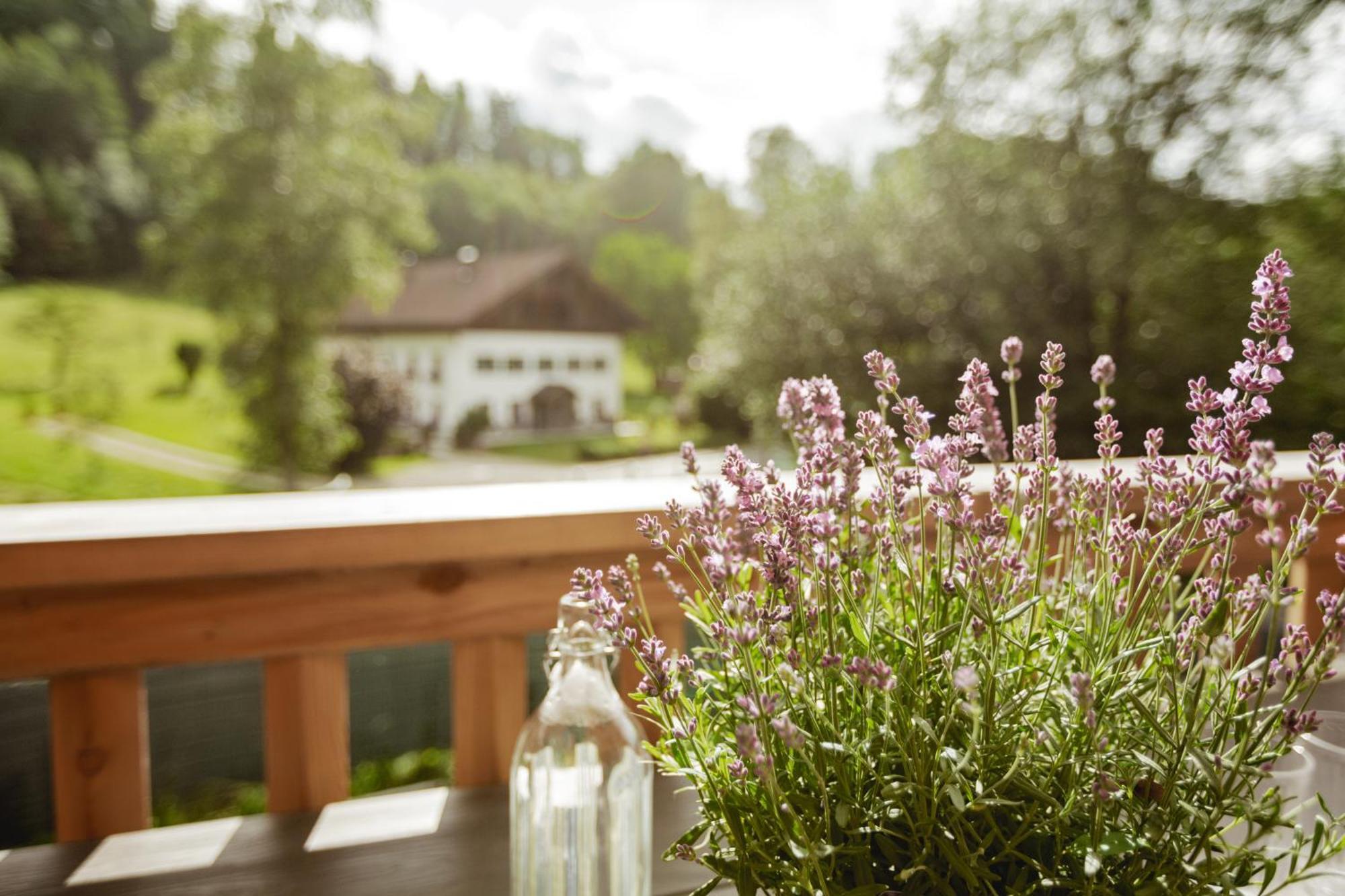 Chalet 49 Nesselgraben - Ferienwohnungen Aus Holz Koppl Eksteriør billede